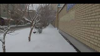 Tabriz - 2 min Snowy & Cold weather