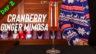 Festive Cranberry-Ginger Mimosa Recipe | Perfect Holiday Brunch Cocktail!