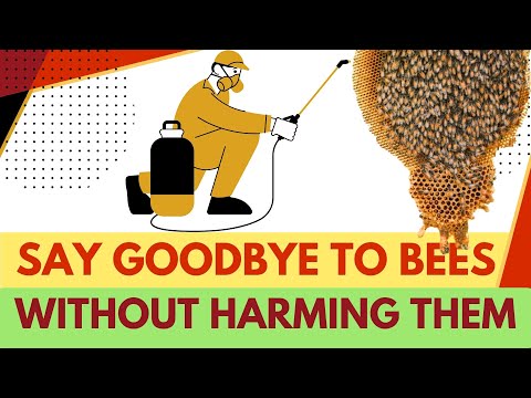 How To Make Bees Go Away Without Killing Them??