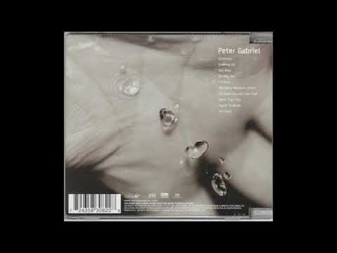 Peter Gabriel - The Barry Williams Show 06