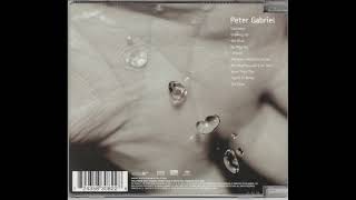 Peter Gabriel - The Barry Williams Show 06