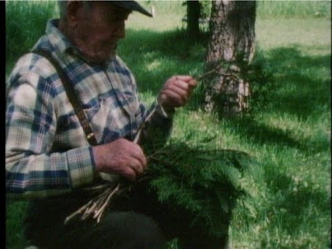 Finnish American Lives