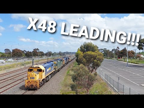 X48 LEADING GRAIN WAGON TRANSFER AT LAVERTON!!!