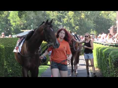 SITA, dostihy:  BA 28.8.2016