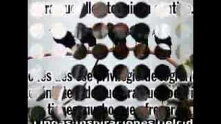 Lastima de tanto amor.wmv