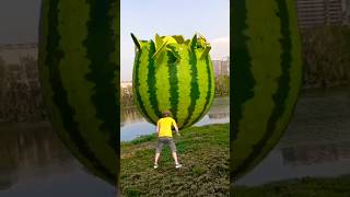 Download lagu আধার রাতের চাঁদ যে তুমি তুমি ভোরের আলো#islamicvideo #youtubeshort mp3