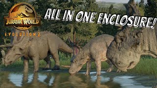 Jurassic World Evolution 2: All Ceratopsians in 1 