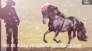 La Arrolladora Banda El Limón (Para Que Pides Perdón)