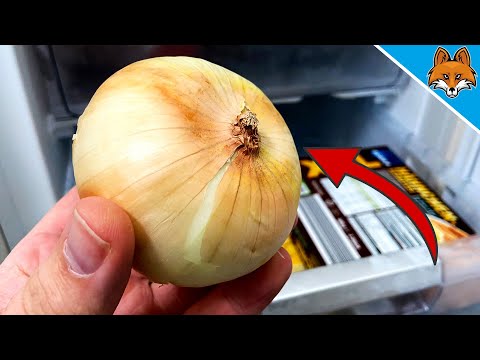 For THIS REASON you should put Onions in the Freezer 💥 (AMAZING) 🤯