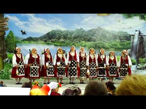 група Здравец, село Здравец, община Аврен, област Варна