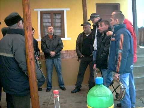 Dubasii de la Valea Poienii (Bagara)