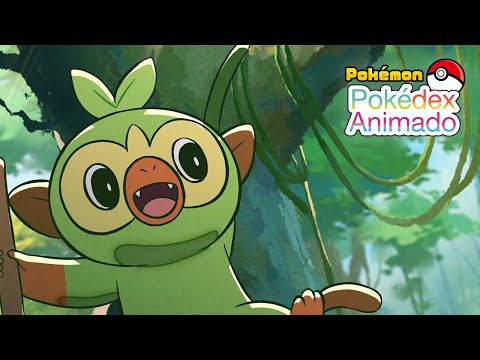 Grookey #0810| Pokédex Animado