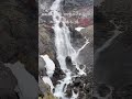 Rosave Rosavae En Veetu Rosave Whatsapp Status Tamil