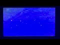 Opening To Learn To Read With Phonics 1990 VHS