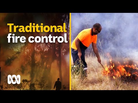 Cultural burning used for fire management on Walbanga country ABC Australia