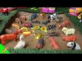 Mud Adventures Rescuing Wild Insect Animals Learn Fun Facts
