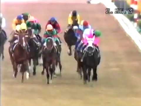 1984 TEN Network Japan Cup Telecast