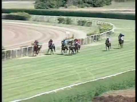 Jaross Sándor EV HP 1600m