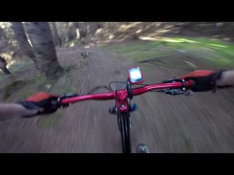 25.05.17 Maulin,Co.Wicklow, mix of clips