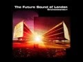 the Future Sound Of London - Murmurations - ENVIRONMENTS 4