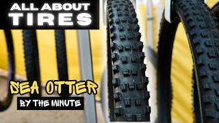 Would You... Radial? // Sea Otter Classic // MTB TIRES Episode