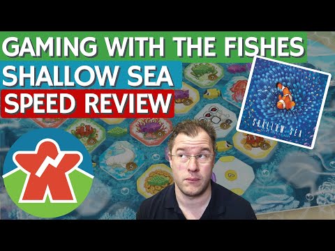 Shallow Sea - Board Game Review - Gaming With The Fishes