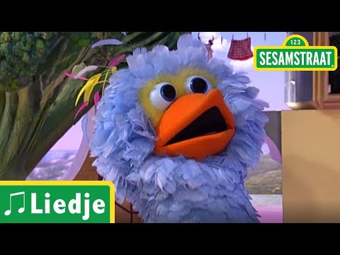 Vliegen als een vogel - Liedje - Pino - Sesamstraat