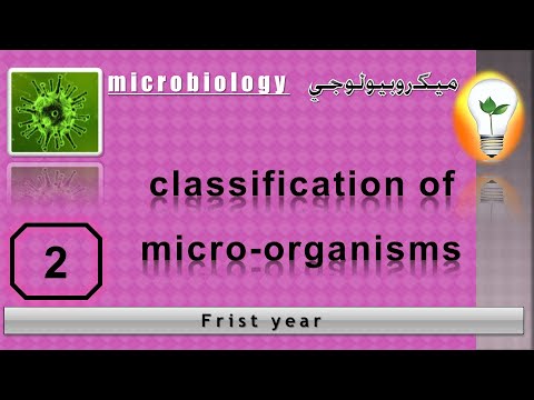 Microbiology Introduction to microbiology مقدمة إلى الميكروبيولوجي