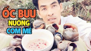 Ốc Bưu Đồng Siêu To - Nướng Cơm Mẻ Siêu Ngon | Xuân Dương Vlogs