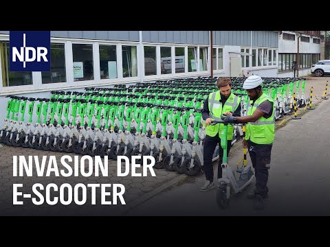Hamburg: 20.000 Miet-E-Roller unterwegs | Die Nordreportage | NDR Doku