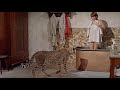 Cheetah In The Bathroom Scene HATARI 62