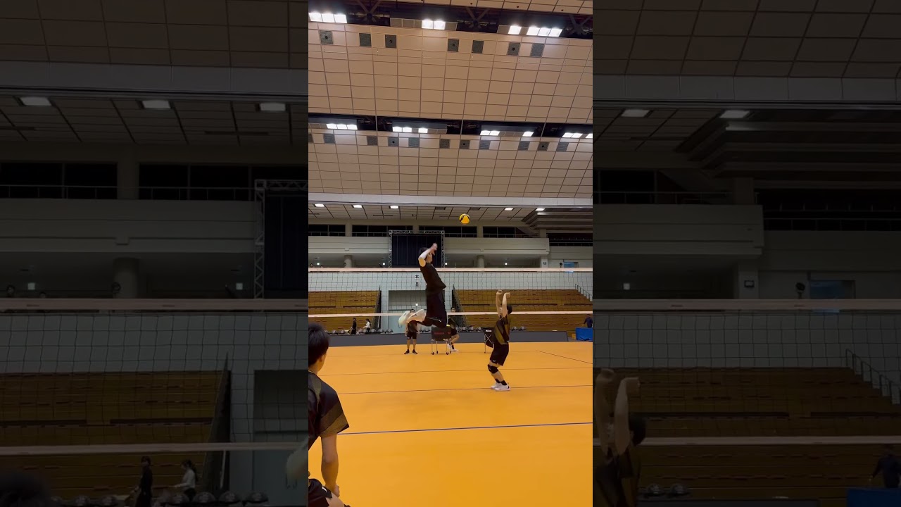 最高到達点367センチらしいです#山形の#けんたろう