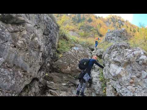 Urcare Jepii Mici - Bușteni – Cabana Caraiman – Cabana Babele