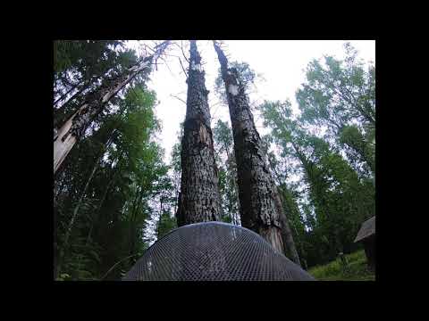 Kaulatut haavat ja leskentekijä