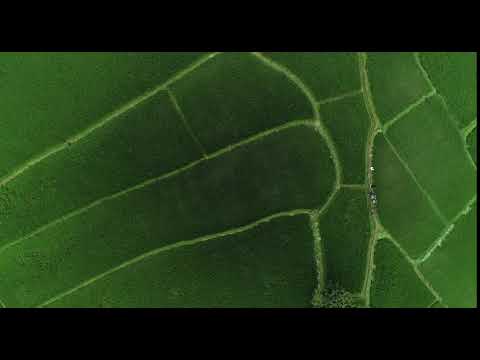 Farmstop -Your organic e-store