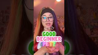 what’s a good beginner pet? 🫣 #enchanteddizzyszoo #exoticpets #beginnerpets #easypets