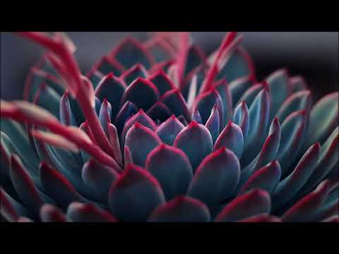 HOLOFEELING - Selbstgespräch 04.06.2020