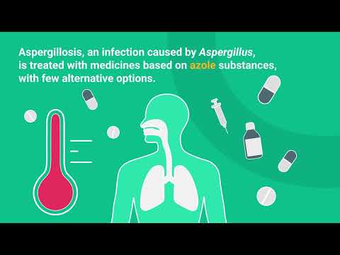 Resistance to azole fungicides in Aspergillus