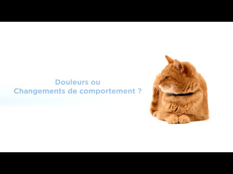 comment soulager conjonctivite