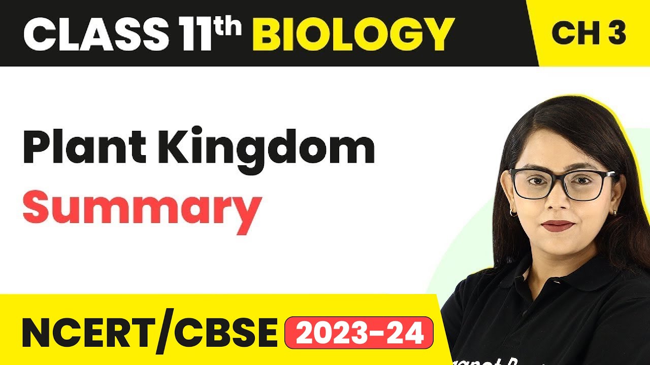 Plant Kingdom - Summary | Class 11 Biology Chapter 3 | NCERT/CBSE