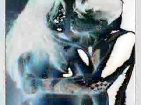 Eternity - Elisabeth Andreassen