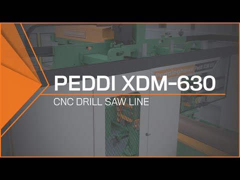 PEDDINGHAUS PEDDI XDM-630 Beam / Drill Lines | Demmler Machinery Inc. (1)