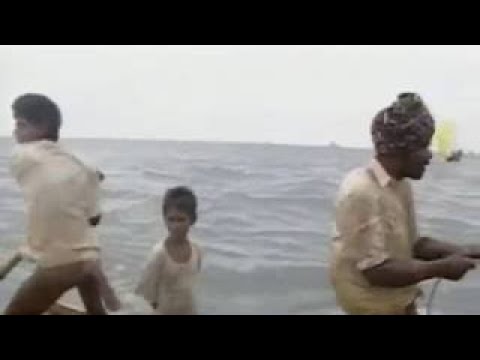 Ray Mears' World Of Survival S02E04 - The Coromandel Coast