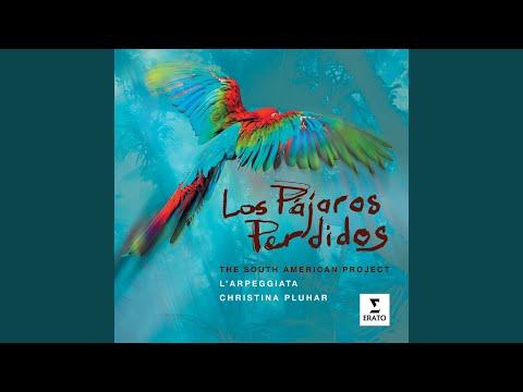 Los pájaros perdidos