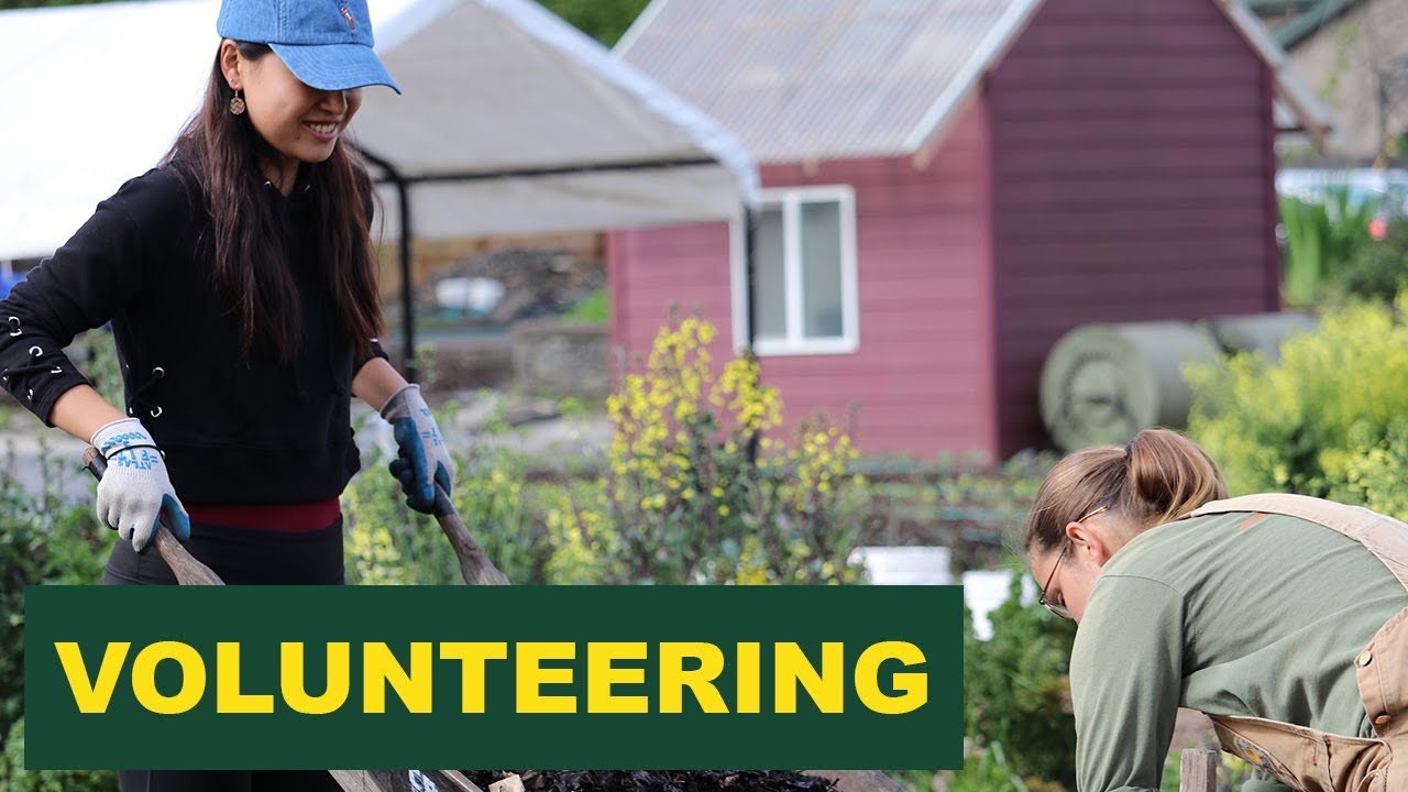 Volunteering: GrassRoots Garden