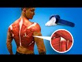 What Happens To Your Body After Taking Creatine For 30 Days