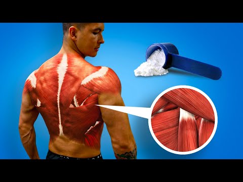 YouTube video about The Amazing Impact of Creatine on Growing Your Muscles!