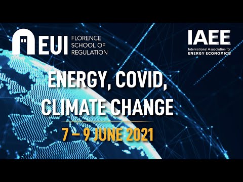 EVs and Shared Mobility hand-in-hand Towards Mobility Decarbonization | Ramteen Sioshansi