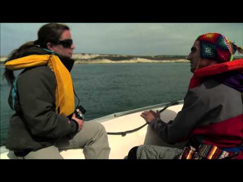 DIARIO DE VIAJE - Capítulo Ballenas y gaviotas (2012)