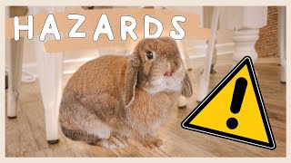 5 Rabbit Hazards in Your Home